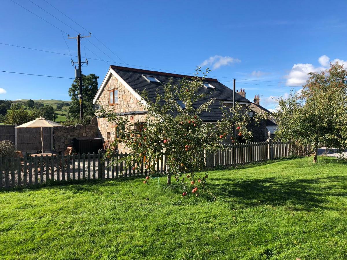Villa Ty Gylfinir Llandegla Esterno foto
